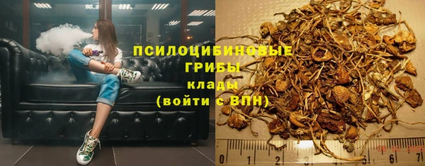 эйфоретик Абинск
