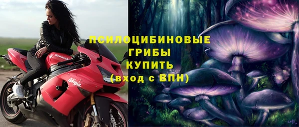 spice Абаза