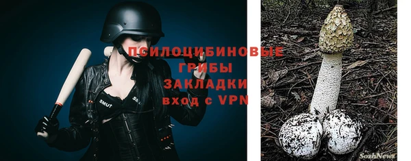 эйфоретик Абинск